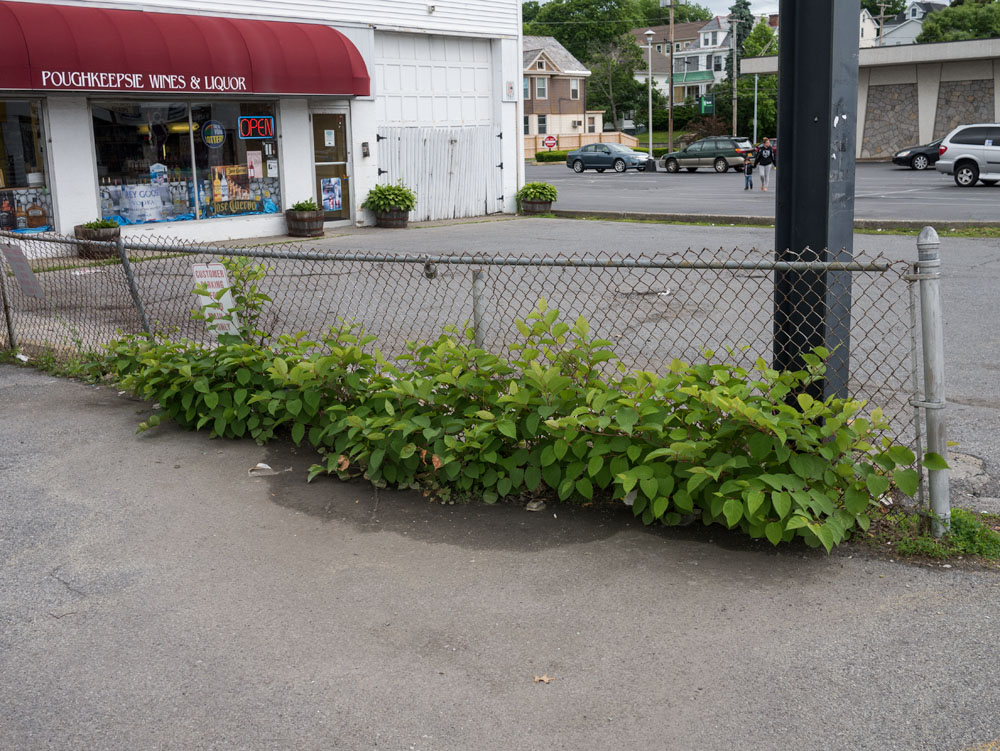 Working Pictures POUGHKEEPSIE WINES & LIQUOR