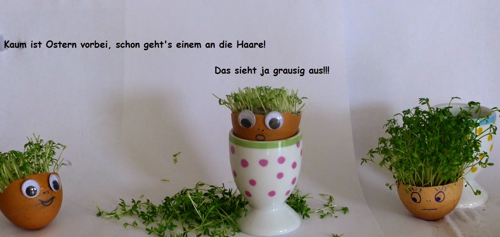 maryT Woll-Design: Spaß mit den Kresse-Köpfen