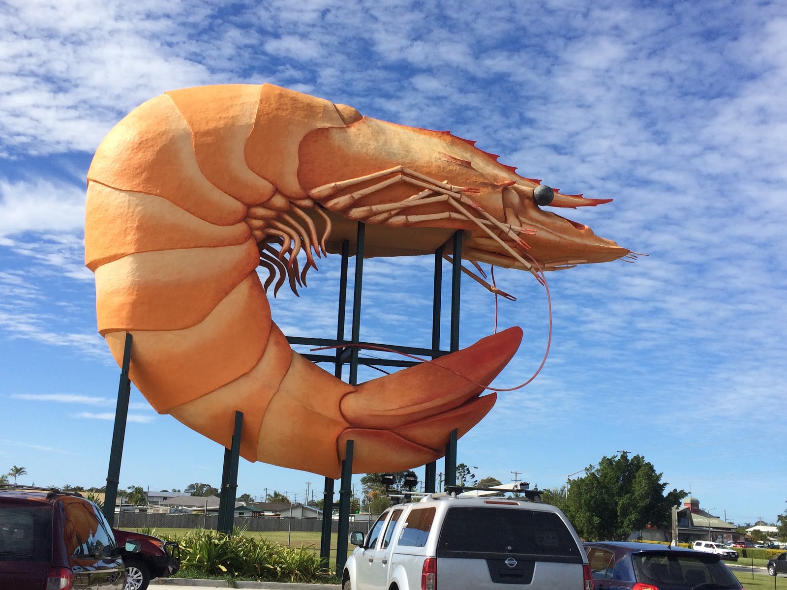 Tiffany's Australia Adventure Big Shrimp