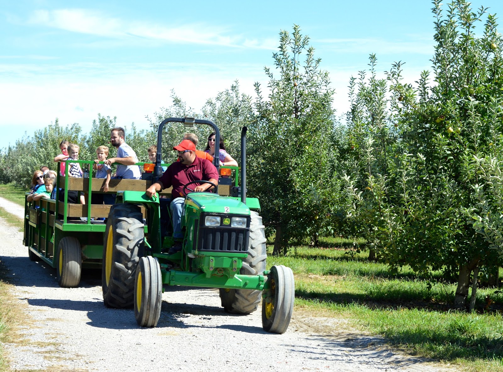 Apple Picking Season At Eckert's Farm Guide For Moms