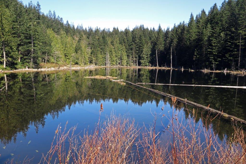 Fagin's Weather World Hike Washington Fagin's Hike of the Week