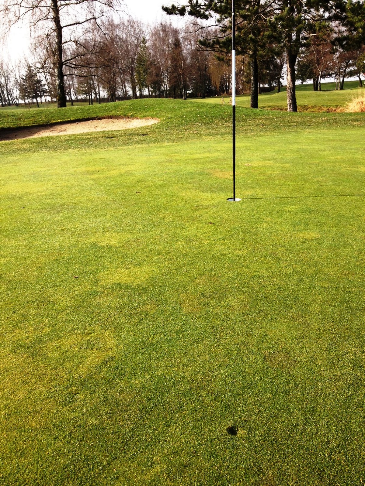 Quilchena Golf Club Turf Care Course Care Ball Marks & Divots