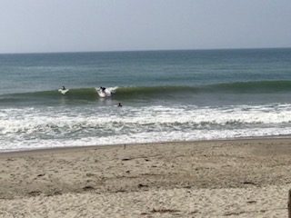 ｃａｔｓ ｄｏｇｓショップブログ 第42回cats Dogsサーフィン大会結果