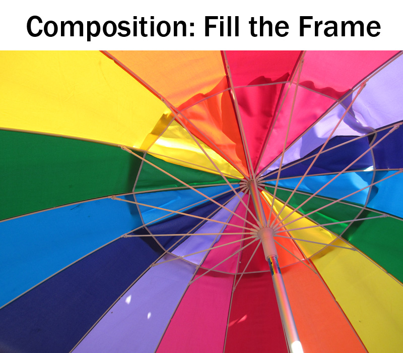 Composition: Fill the Frame | Boost Your Photography