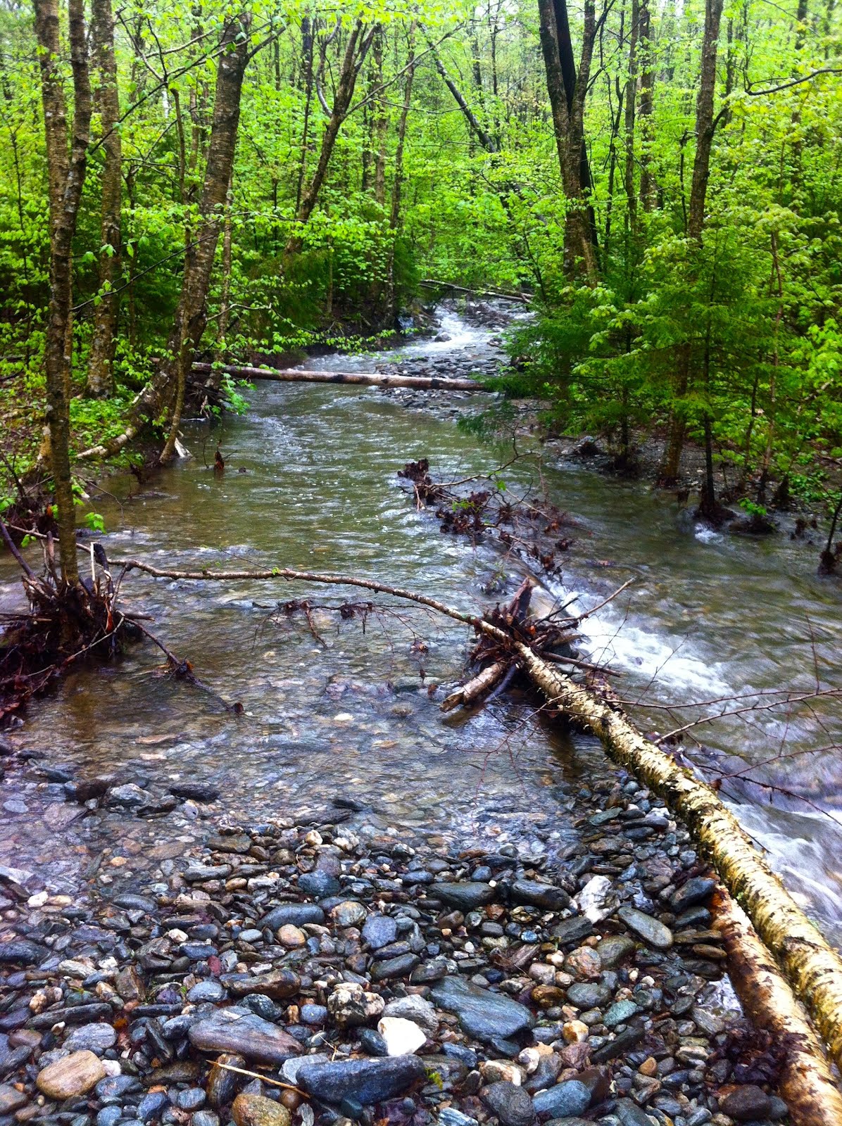 M. Josef Shafer Sun Ray Peace Village, Lincoln, Vermont