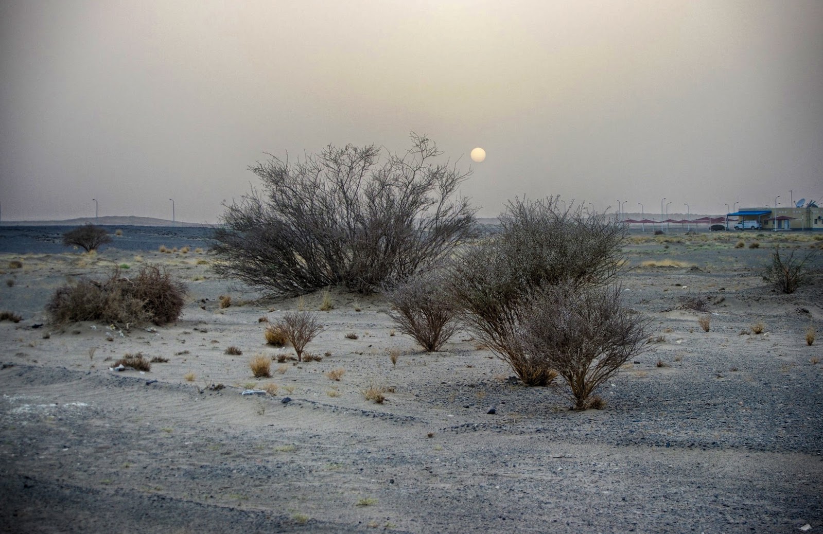 wandering in the light: May 2014