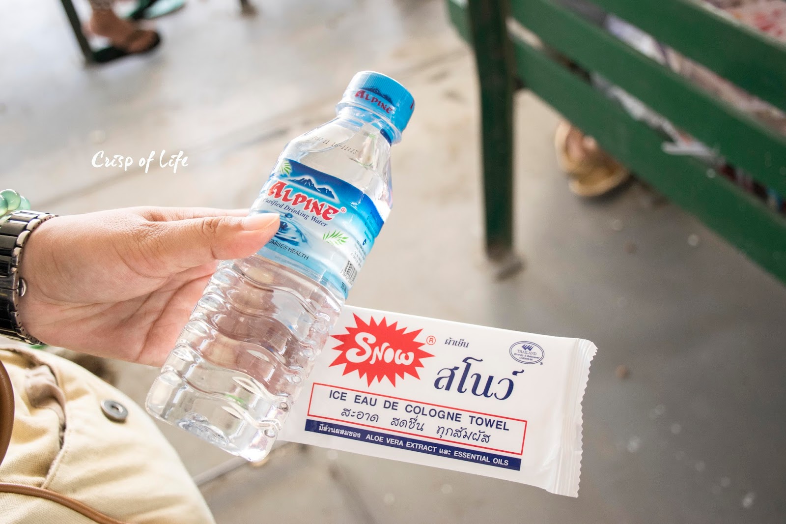 Beginner Tips for Visiting Myanmar Crisp of Life Penang Food