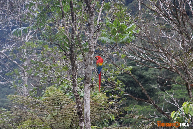 Santuario Nacional de Pampa Hermosa