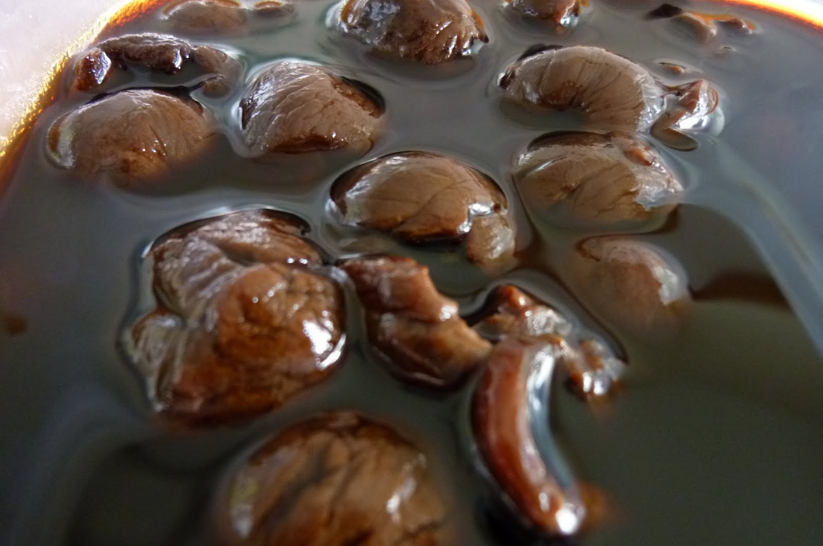 INCREDIBLE RECIPES: Air Buah Longan