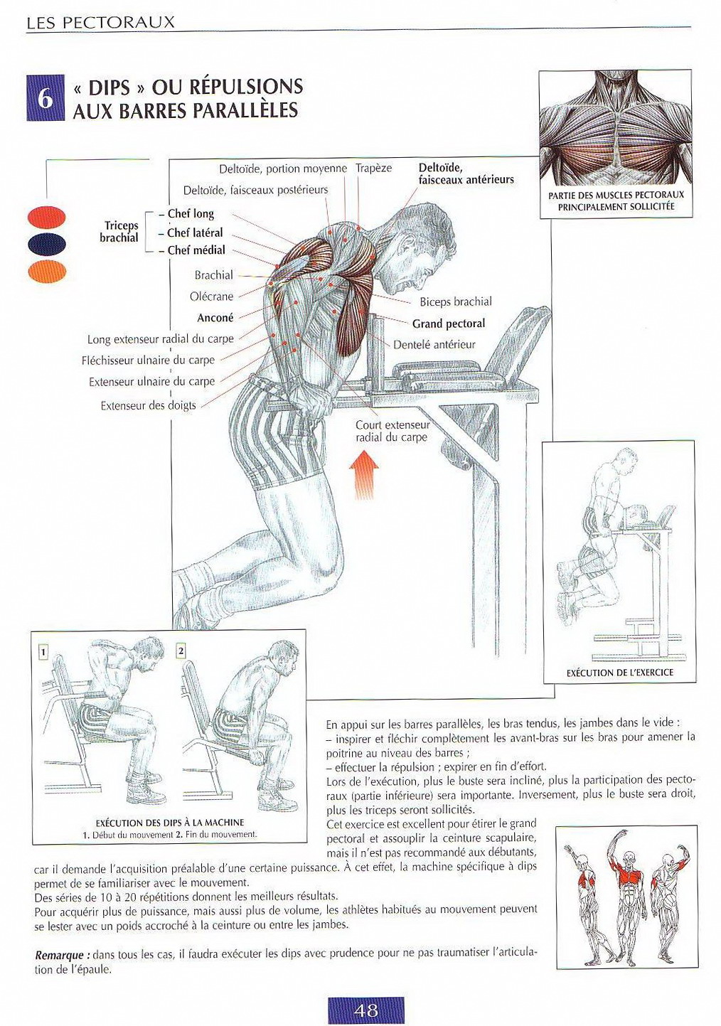 BEST chest workouts guide de musculation