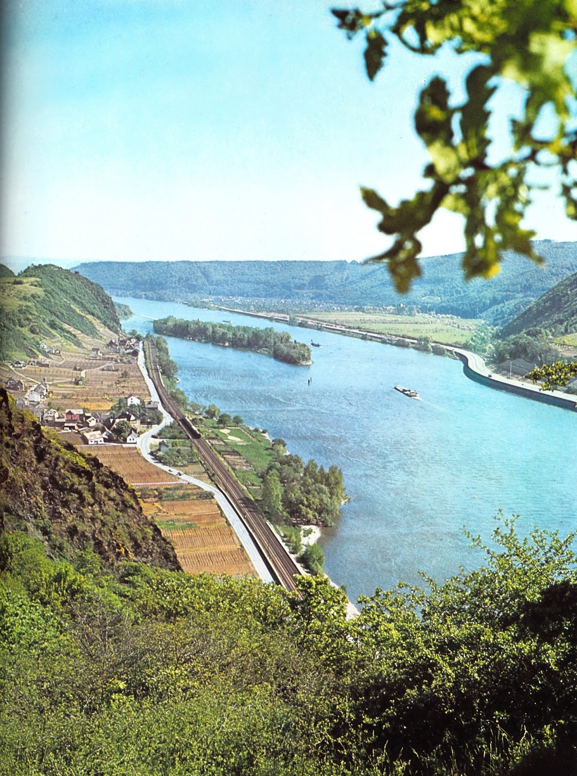 Weinbruderschaft MittelrheinSiebengebirge Weinkultur Hammerstein