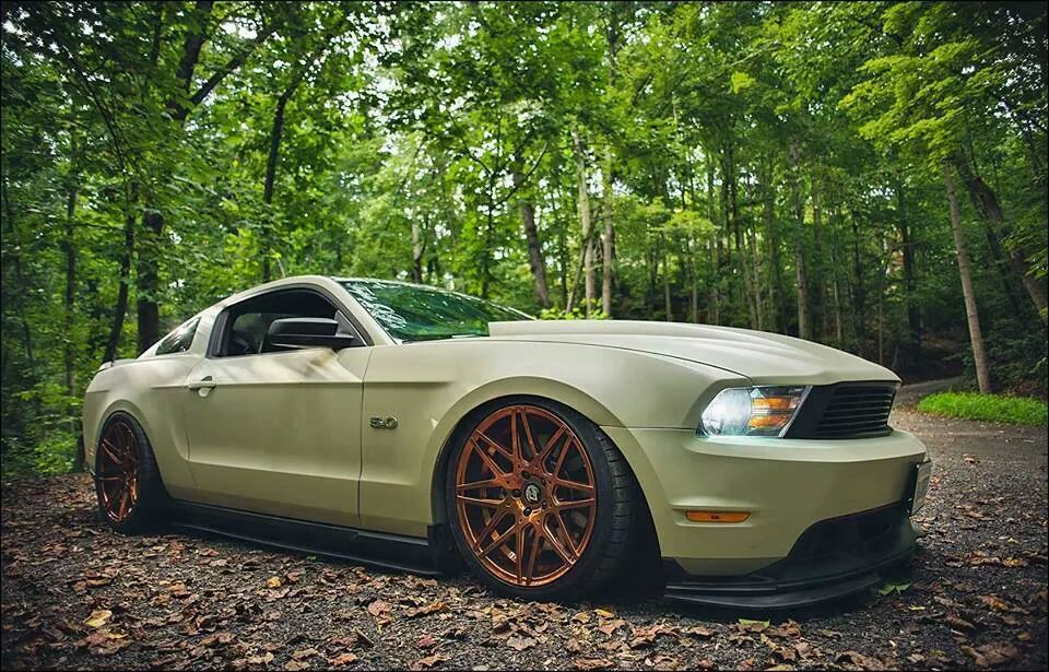First Choice Wheels and Tires Lowered Mustang with Copper color wheels