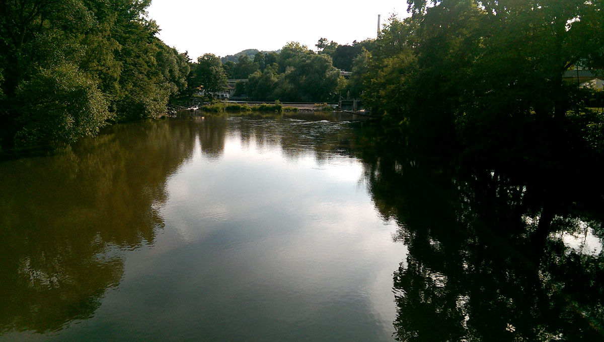 24 Jahrestag Von The Voice Refugee Forum 24 Jahre