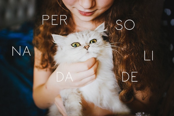 BEDA #8 || Dia Internacional do Gato