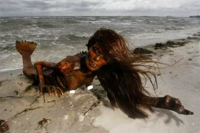 Talktokemi (TtK) : Dead Mermaid Creature Found In Haiti