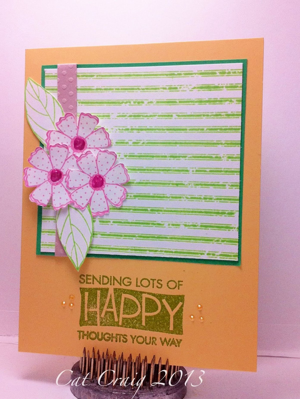 Cat Luvs Paper: February CCC