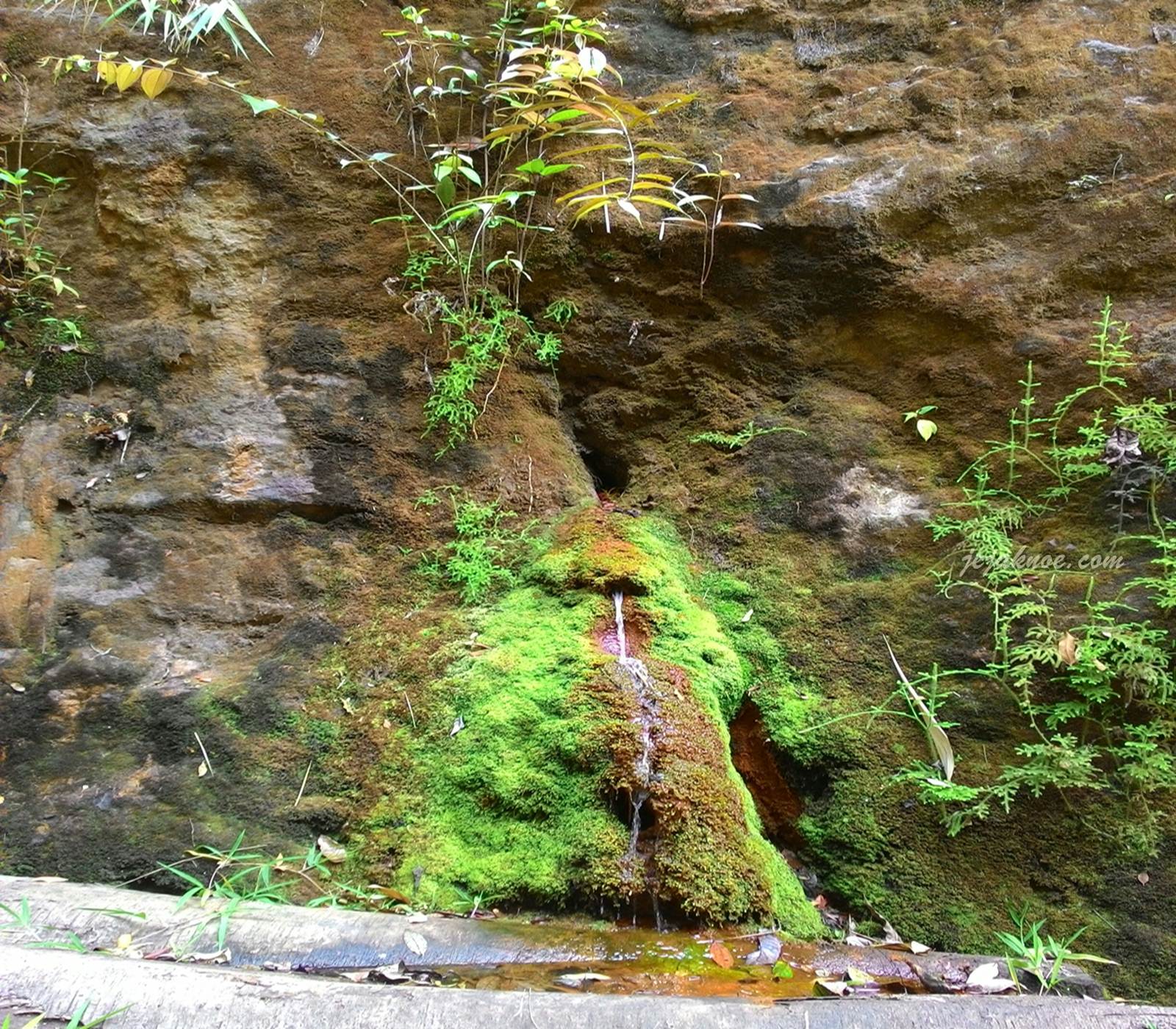 Mata Air Keramat Di Lereng Gunung Semungklung | jejaknoe.net