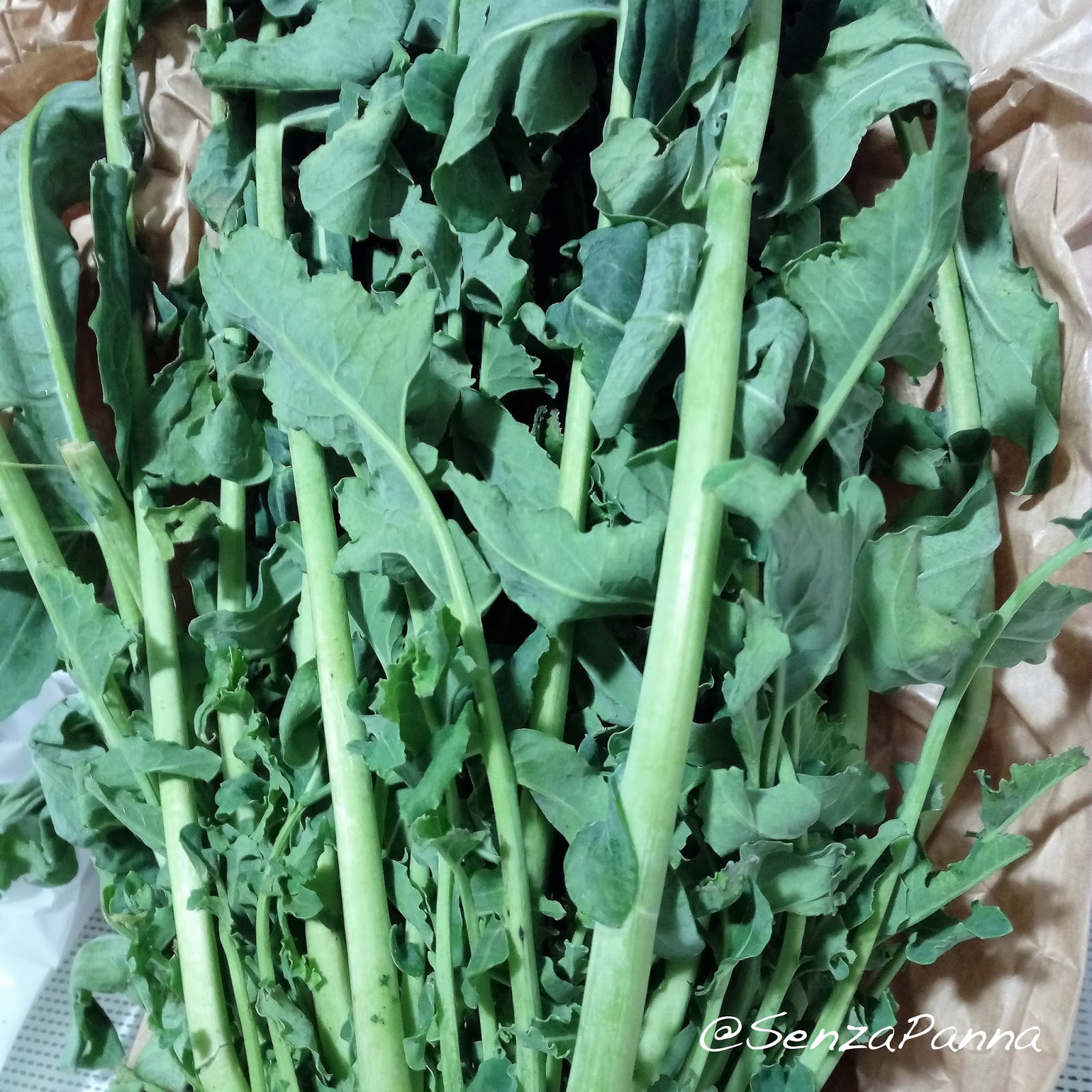 Senzapanna Mezze Maniche Con Broccolo Fiolaro Come Pulirlo E Come Utilizzarlo In Cucina