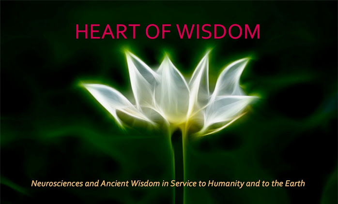                        Heart of Wisdom 