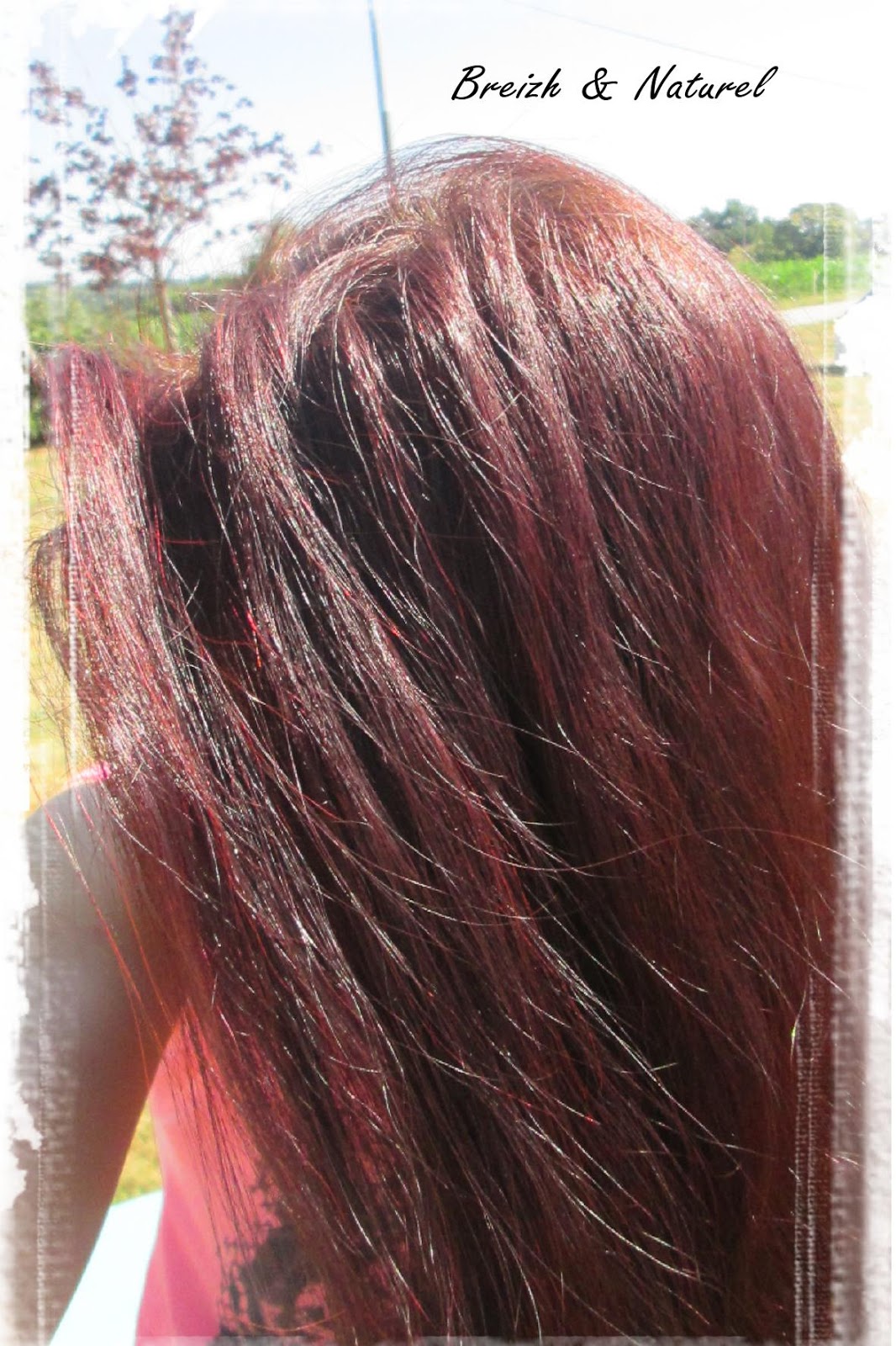 Henné bordeaux, rouge foncé et Red K