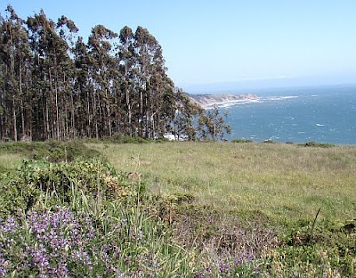 view of Bolinas Point