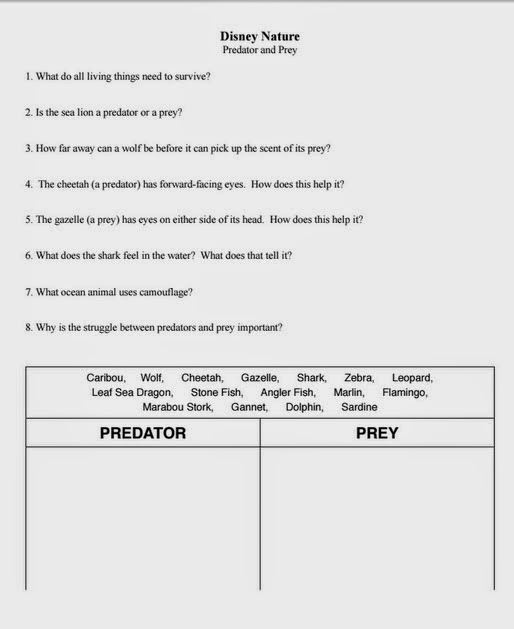 Teaching the Kid: Disney Adventures