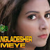 BANGLADESHER MEYE Lyrics - Aami Sudhu Cheyechi Tomay | Akassh