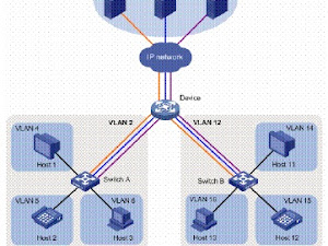 Jenis VLAN (Virtual Local Area Network) Pada Jaringan Komputer