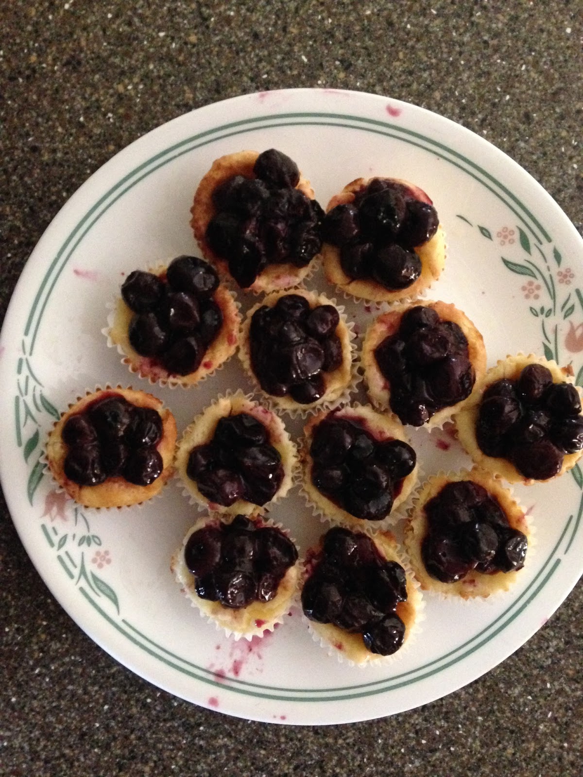 Stony Hill Farms CSA Mini Blueberry Cheesecake Cups