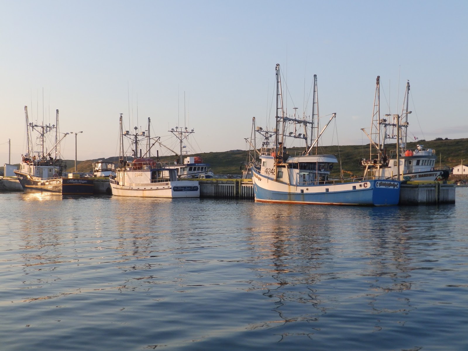 Northern Exposure 2013 Across Trinity Bay To Old Perlican, Eastern