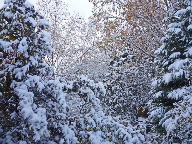 Krähen-Nest: Ei, du liebe, liebe Zeit...