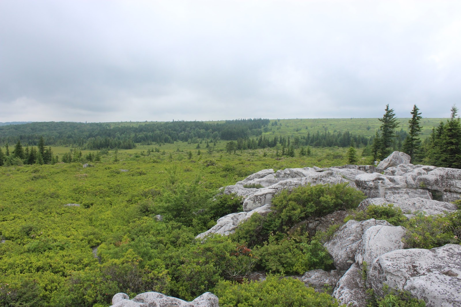 Grobe Anglers And Adventures: Dolly Sods North: Bear Rocks Trail Loop