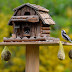 2 DIY Creative Bird Seed Containers