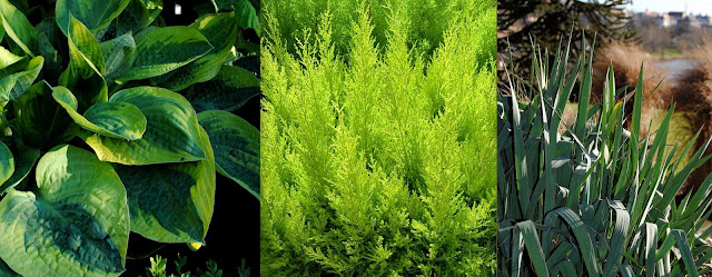 Gartendeko-Blog: Gartenideen - Pflanzen als Dekoelemente