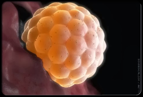 Родила царица в ночь...