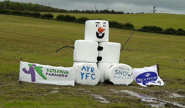 ayrshire young farmers 