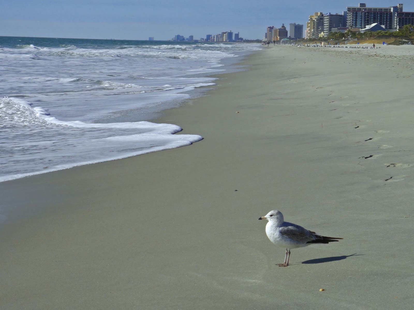 Myrtle Beach Private Beach Weddings Myrtle Beach Private Beach Weddings