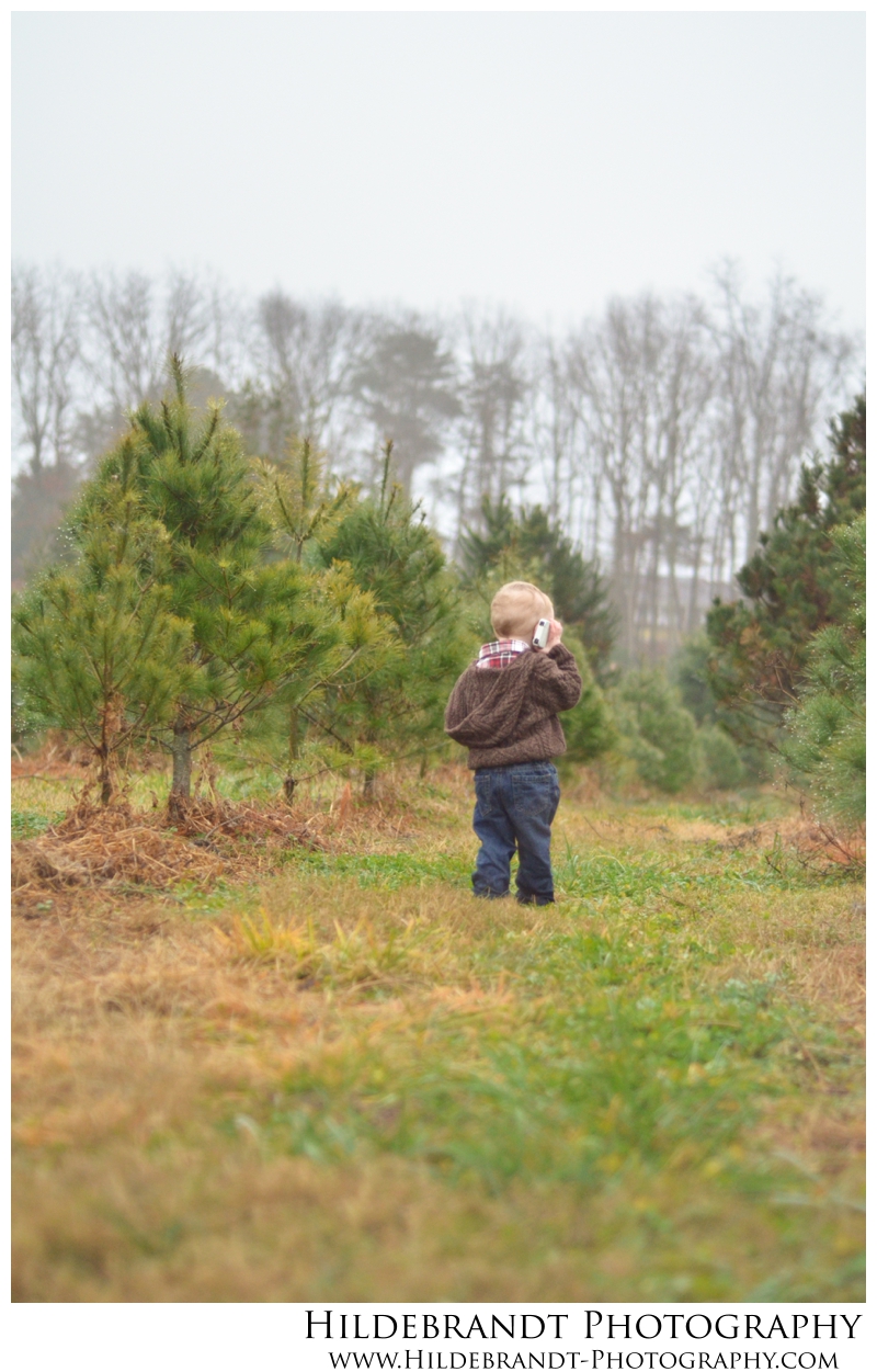 Hildebrandt Photography The Toney Family \\ Christmas Tree Farm Mini