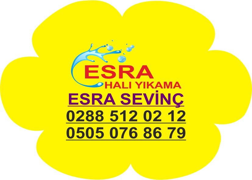 Esra Hali Yikama Babaeski