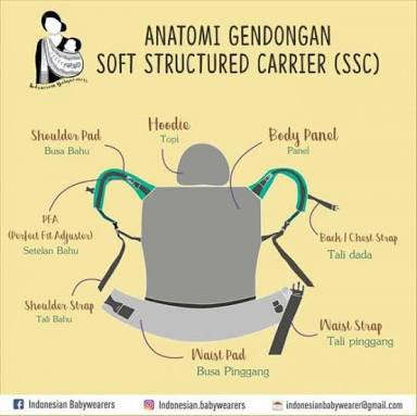 gendongan ssc vs hipseat