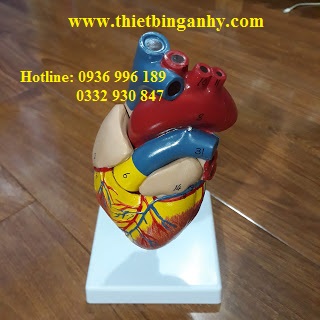 Mô hình tim  Shopee Việt Nam