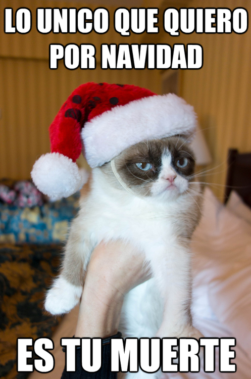 Mucho Gracias Cat Meme Mucho Gracias Cat Meme