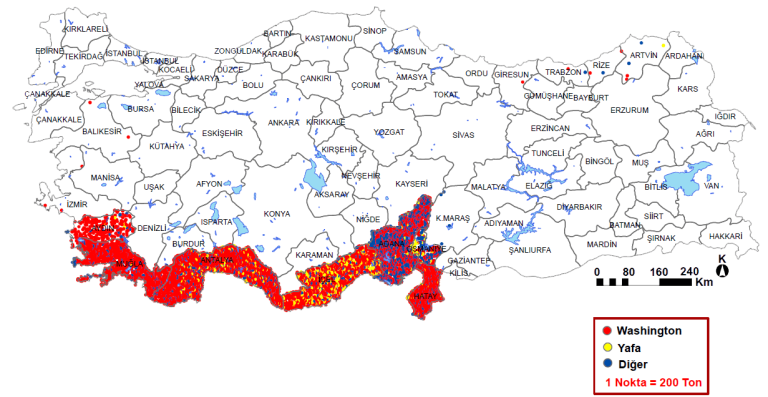 Tarım Siteniz Türkiye’de Yetiştirilen Meyveler ve haritada dağlımı