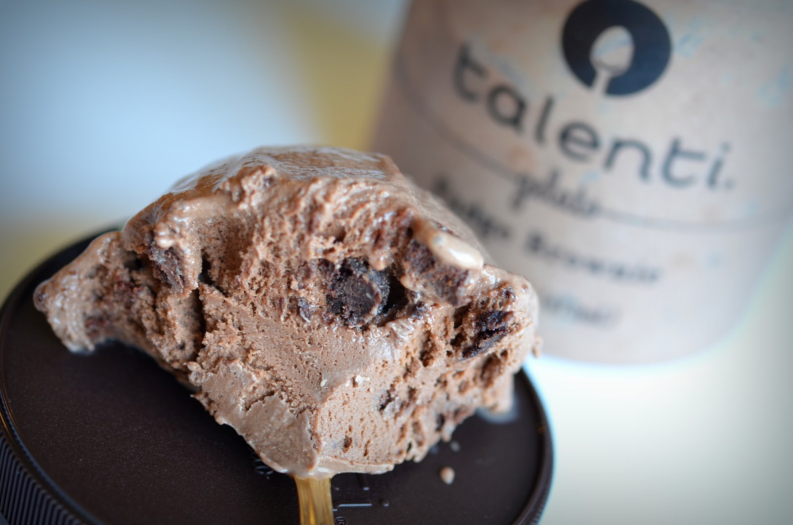 food and ice cream recipes REVIEW Talenti Fudge Brownie (Southeast