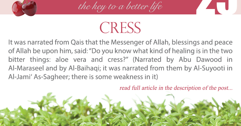 Cress Islamic Medicine Best Right Way