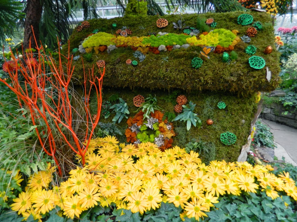 Washingtongardener Native Spotlight Fothergilla