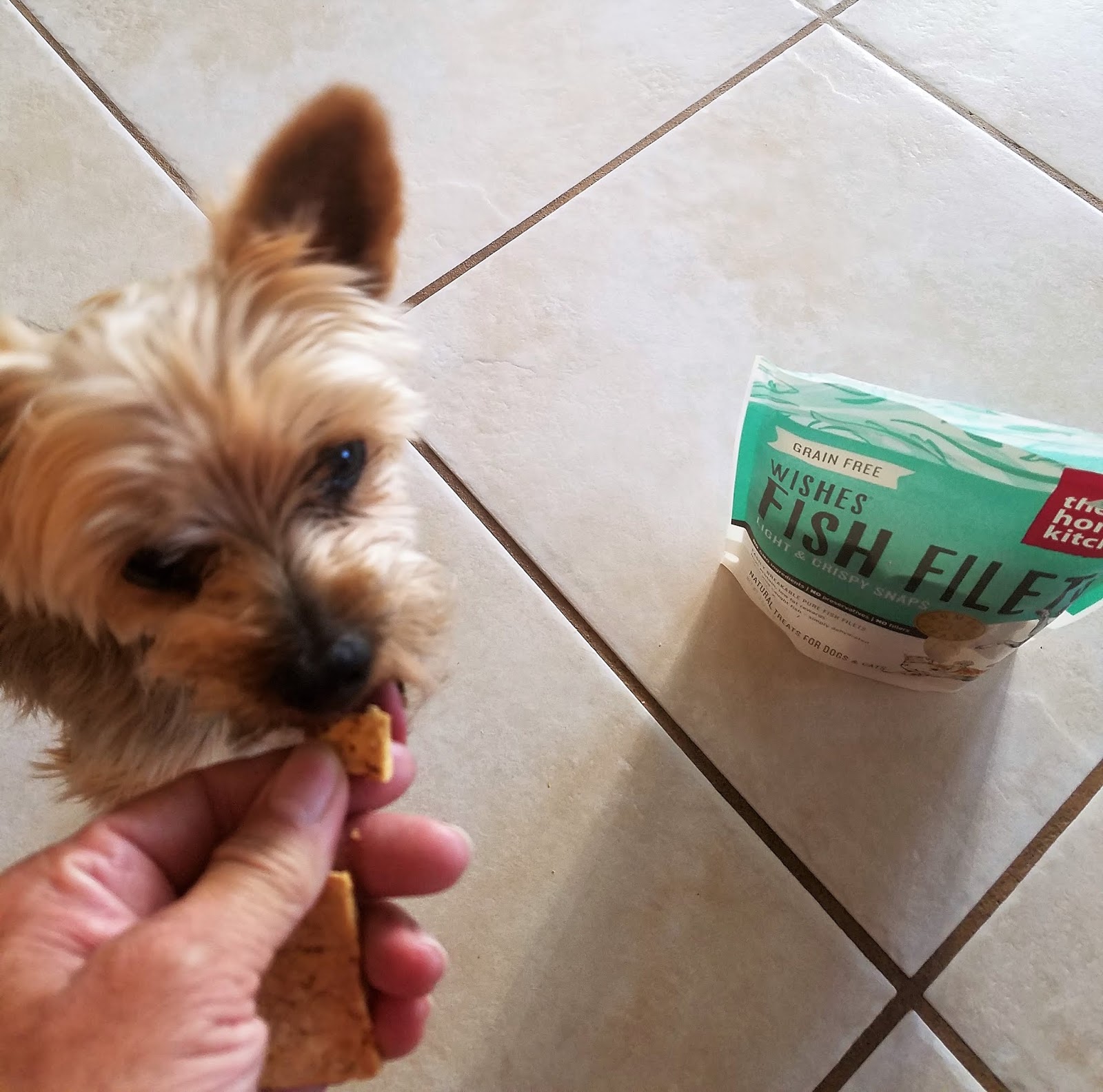 Honest Kitchen Dog Food How Much To Feed Honest Kitchen Dog Food How Much To Feed