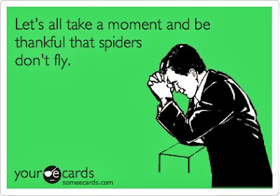 Let's all take a moment to be thankful that spiders don't fly.