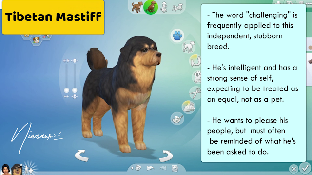 Sims Sims