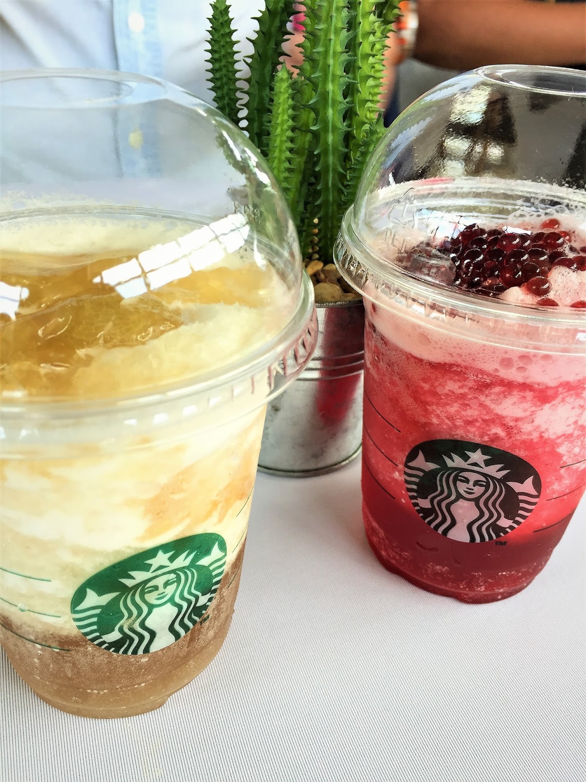 The Food Alphabet and More Starbucks unveils New Teavana Frozen Teas